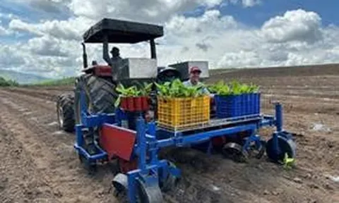 Kết quả nghiên cứu hệ thống thiết bị cơ giới hóa một số khâu canh tác chuối qui mô tập trung