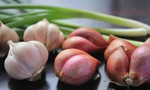 Kết quả nghiên cứu ứng dụng cơ giới hóa đồng bộ sản xuất hành củ, tỏi tại vùng sản xuất tập trung