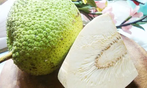 Nghiên cứu thực nghiệm sấy trái Sa Kê thái lát bằng bơm nhiệt kết hợp bức xạ hồng ngoại