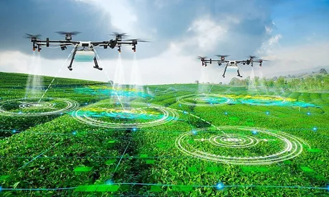 Tự động hóa trong nông nghiệp: Cơ hội và thách thức – tích hợp robot và máy móc trong canh tác