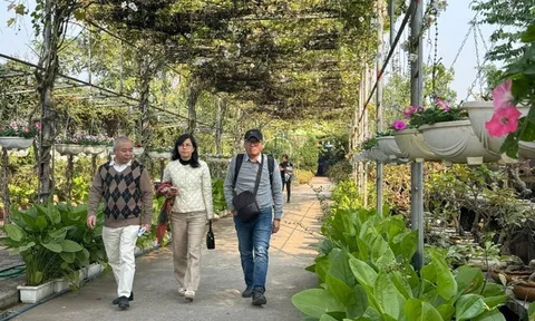 Hồng Vân - Điểm sáng du lịch cộng đồng đạt OCOP của Hà Nội