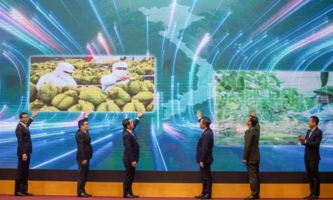 Bộ Nông nghiệp và Môi trường ra mắt Hệ thống truy xuất nguồn gốc nông sản Việt Nam
