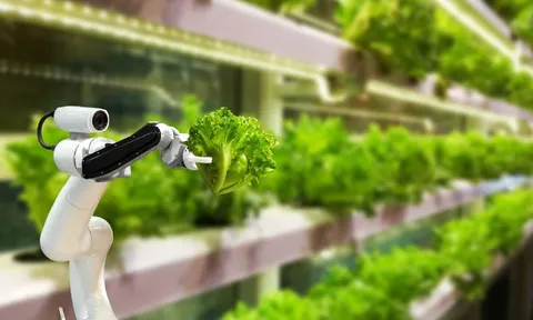 Số hóa nông nghiệp: Khi dữ liệu trở thành “chìa khóa” nâng tầm giá trị nông sản