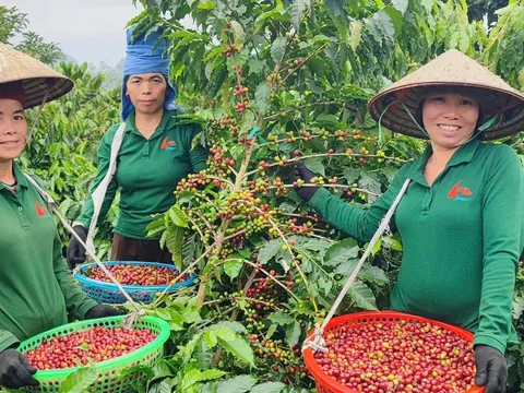 Nghị quyết 79 qua góc nhìn của doanh nghiệp tư nhân: Đồng hành để vươn xa