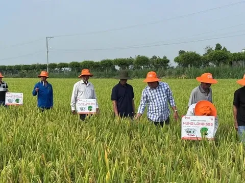 Đổi mới sáng tạo kích hoạt nông nghiệp bứt phá tại Cần Thơ