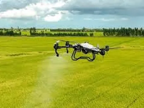 Tái định vị khuyến nông: Trở về với thực địa, lấy nông dân làm trung tâm