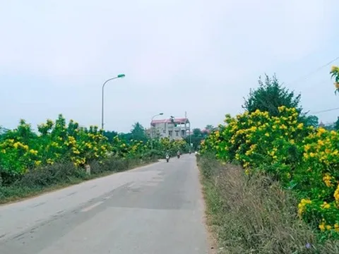 Hà Nội: Khởi sắc xây dựng nông thôn mới sau sáp nhập chính quyền 2 cấp