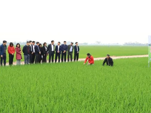 Hà Nội: 15 năm hành trình bứt phá xây dựng nông thôn mới