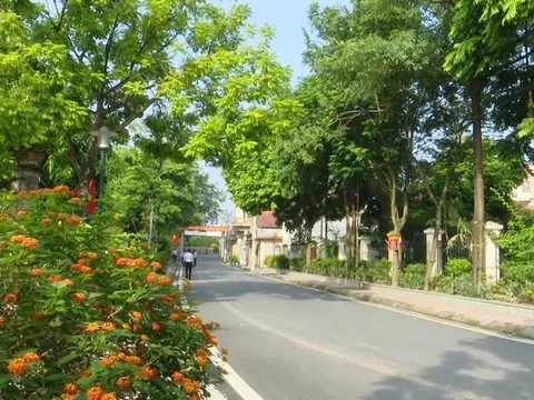 Đan Phượng - Phát triển nông thôn mới kiểu mẫu gắn với lộ trình đô thị văn minh