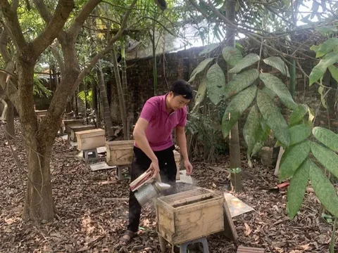 Khẳng định thương hiệu nông sản sạch từ sản phẩm OCOP