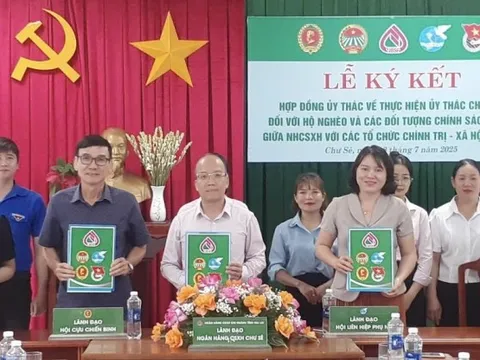 Tín dụng chính sách góp lực giảm nghèo, xây dựng nông thôn mới trên cao nguyên Chư Sê