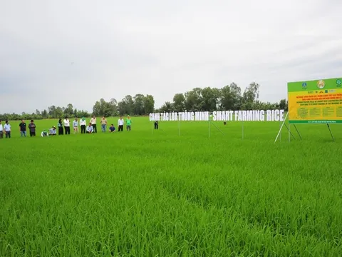 Vinachem: Chủ động nguồn lực, góp phần kiến tạo nền nông nghiệp tự cường