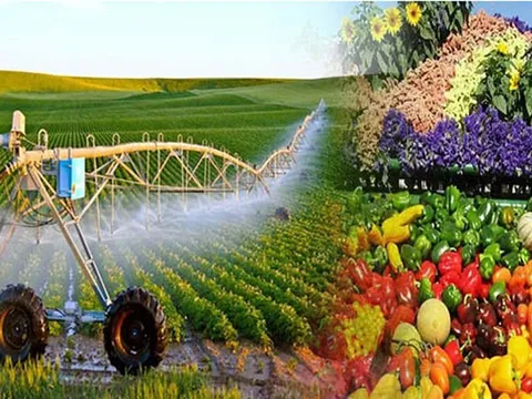 Sửa Luật Thuế GTGT: Khơi thông hoàn thuế, giảm áp lực vốn cho nông nghiệp và xuất khẩu