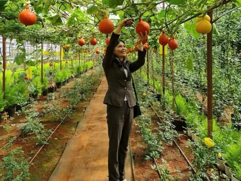 Nông thôn mới Lâm Đồng: Phát triển kinh tế nông nghiệp gắn với nâng cao chất lượng sống