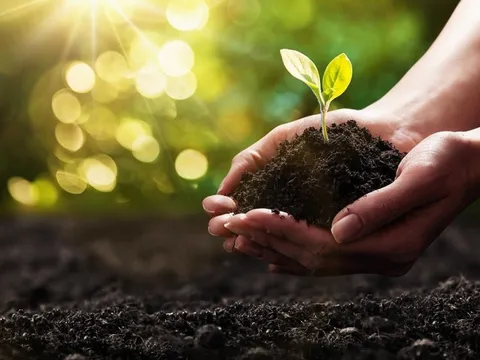 Hành trình sản phẩm nông nghiệp hữu cơ từ cánh đồng đến tay người tiêu dùng