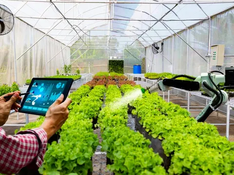 Chuyển đổi số trong nông nghiệp Hà Nội: Hướng đi tất yếu để nâng cao chất lượng và giá trị nông sản