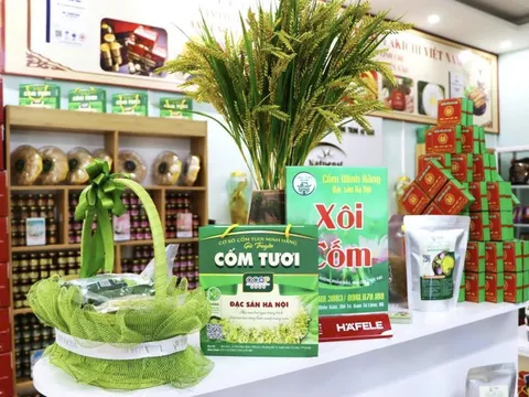 Hà Nội - Điểm sáng trong phát triển và xúc tiến thương mại sản phẩm OCOP