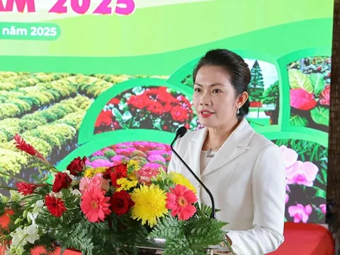 Festival Hoa – Kiểng Sa Đéc 2025: 'Sắc hoa ngày mới' hứa hẹn mùa lễ hội bùng nổ