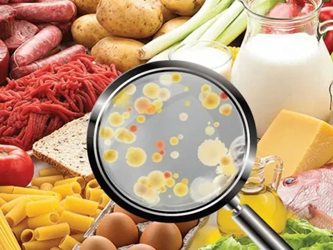 Kiểm soát vi sinh vật trong thực phẩm – hướng đến sản xuất sạch