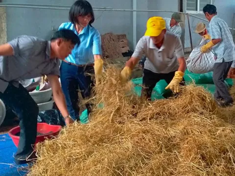 Ứng dụng công nghệ sinh học trong xử lý rác thải nông thôn