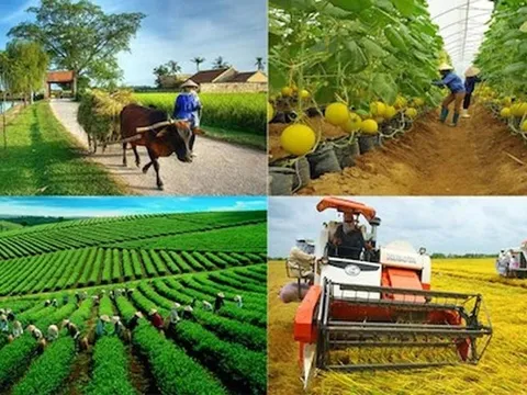 ADB và BIDV ký gói tài chính 250 triệu USD hỗ trợ nông nghiệp bền vững, nữ chủ DN