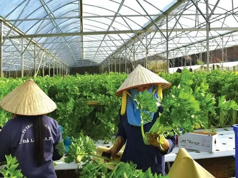 Xây dựng nông thôn mới phát triển toàn diện tại Lâm Đồng