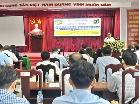 Cần Thơ quyết liệt triển khai Đề án 1 triệu ha lúa, hướng tới sản xuất xanh, phát thải thấp bền vững