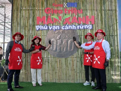 Tiếp nối hành trình Vì một Việt Nam xanh: OMO Trao tặng 20.000 banh hạt giống cho Vườn quốc gia Núi Chúa