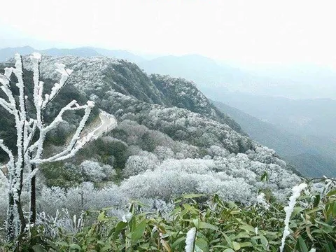 Chủ động ứng phó rét đậm, rét hại