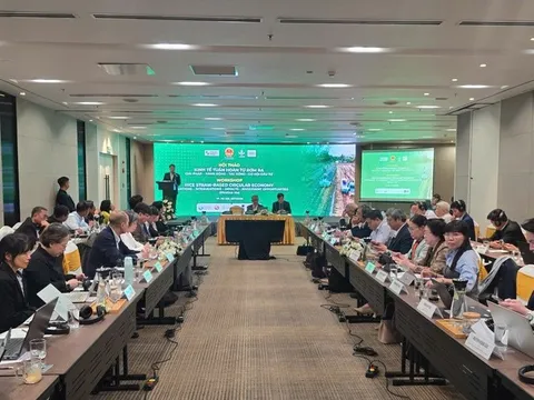 Kinh tế tuần hoàn từ rơm rạ mở lối cho nông nghiệp phát thải thấp