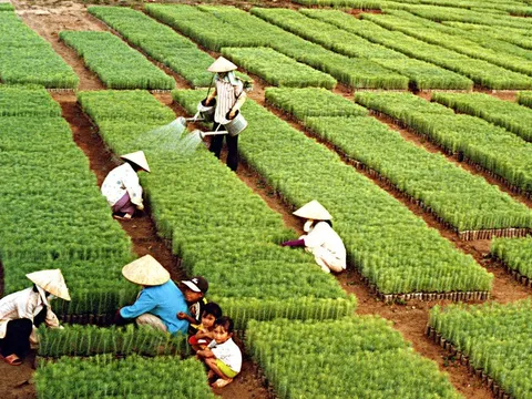 Ngành Nông nghiệp và Môi trường đặt mục tiêu xuất khẩu gần 74 tỷ USD năm 2026