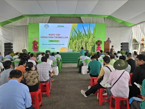 Ngày hội nông dân trồng lúa 2026: Thúc đẩy sản xuất lúa chất lượng cao, giảm phát thải ở ĐBSCL