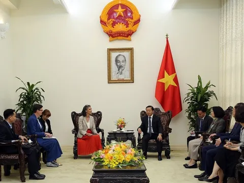 Việt Nam tăng cường hợp tác với UNDP, WHO trong cải thiện chất lượng không khí