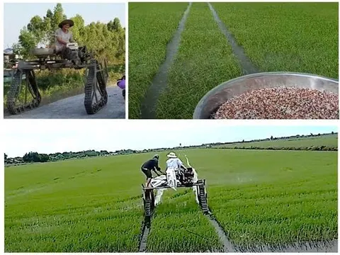 Thử nghiệm máy phun thuốc, bón phân cho ruộng lúa sử dụng hệ thống di động bằng xích cao su