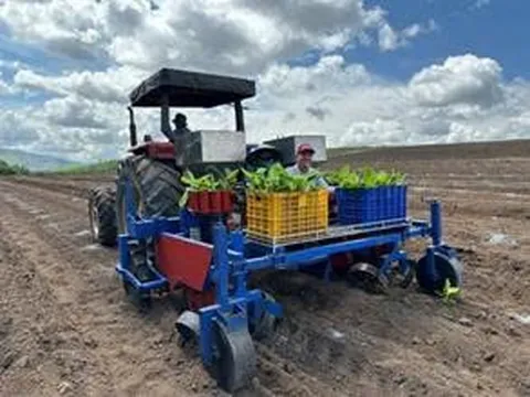 Kết quả nghiên cứu hệ thống thiết bị cơ giới hóa một số khâu canh tác chuối qui mô tập trung