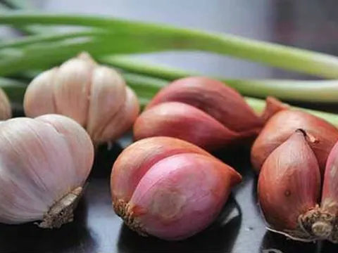 Kết quả nghiên cứu ứng dụng cơ giới hóa đồng bộ sản xuất hành củ, tỏi tại vùng sản xuất tập trung