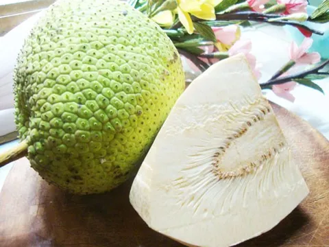 Nghiên cứu thực nghiệm sấy trái Sa Kê thái lát bằng bơm nhiệt kết hợp bức xạ hồng ngoại