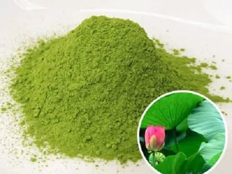 Kết quả thiết kế, chế tạo và khảo nghiệm máy thái tách gân lá sen để sản xuất bột matcha lá sen Huế