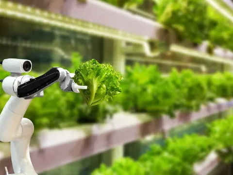 Số hóa nông nghiệp: Khi dữ liệu trở thành “chìa khóa” nâng tầm giá trị nông sản